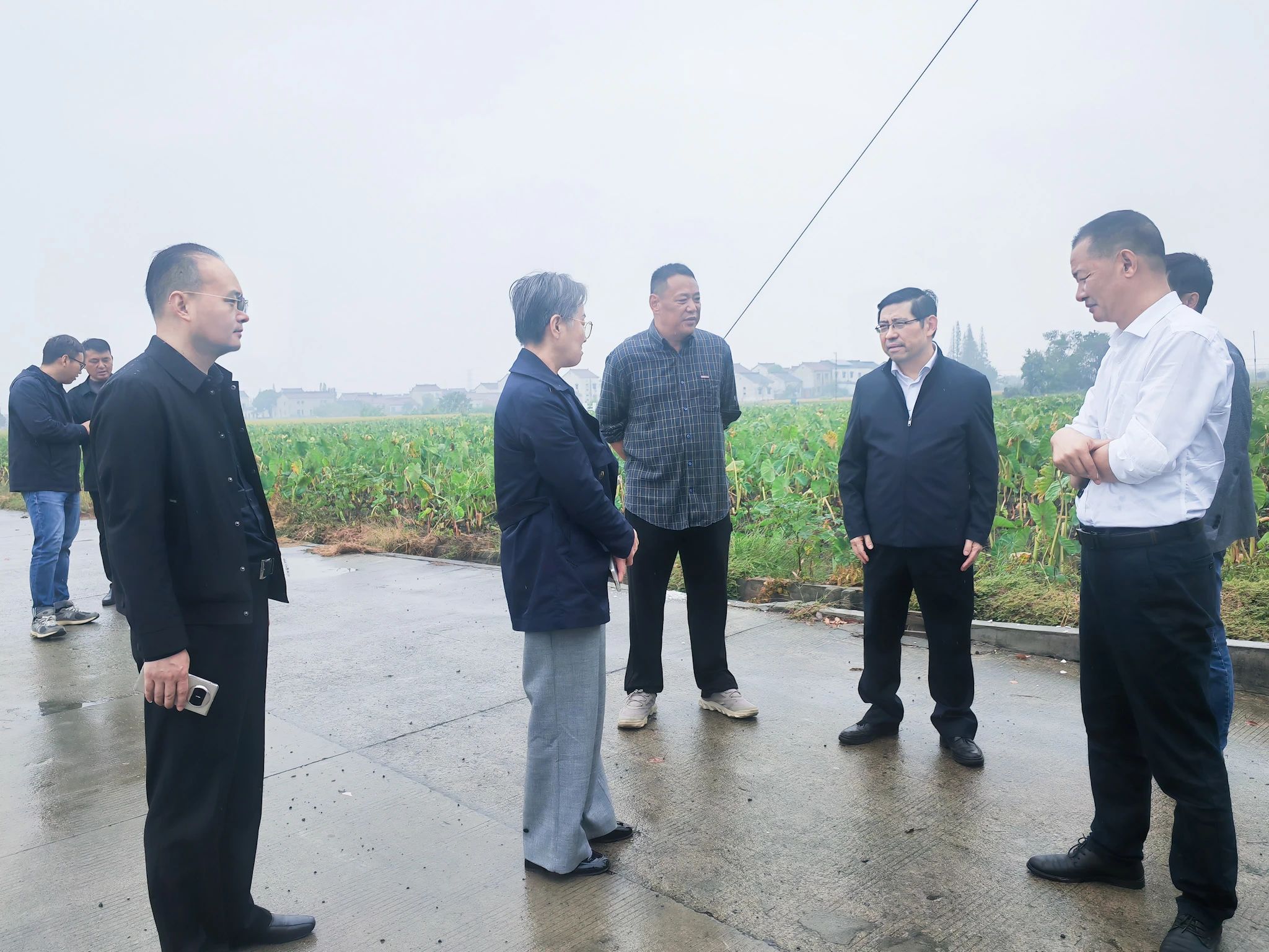微信图片_20250505163517.jpg